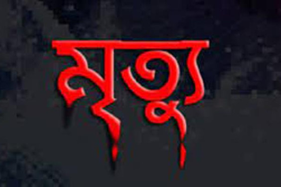 ঝিনাইদহে পৃথক দুর্ঘটনায় দুই শিশুর মৃত্যু