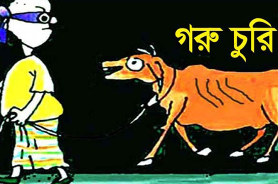 রানীনগরে গোয়ালঘরের তালা কেটে ৪টি গরু চুরি