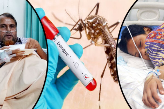 ডেঙ্গুতে একদিনে ১২ জনের মৃত্যু