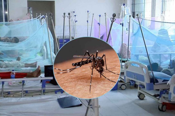 ডেঙ্গুতে ৫ জনের মৃত্যু, হাসপাতালে ৮৩৯