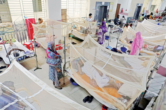 ডেঙ্গুতে আরো তিনজনের মৃত্যু