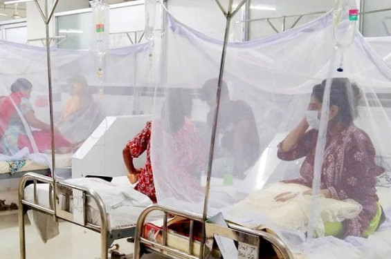 ডেঙ্গু আক্রান্ত ৭০ হাজার ছাড়াল