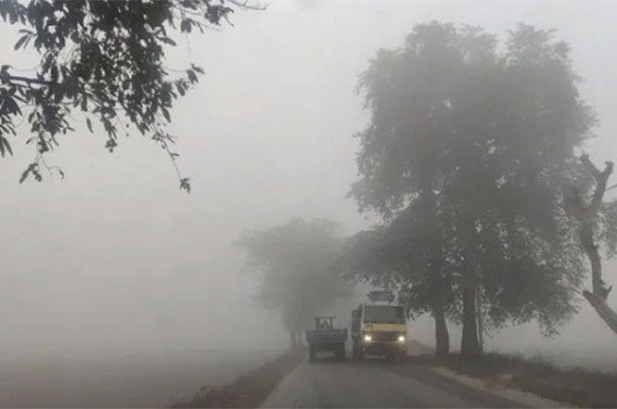 ঘন কুয়াশায় ঢাকা দিনাজপুর, বিপর্যস্ত জনজীবন