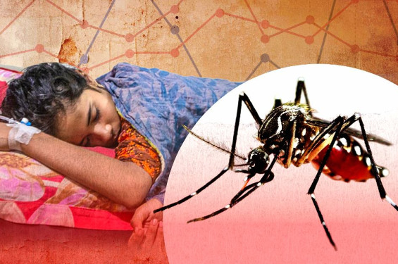 ২৪ ঘণ্টায় ডেঙ্গুতে ৬ জনের মৃত্যু