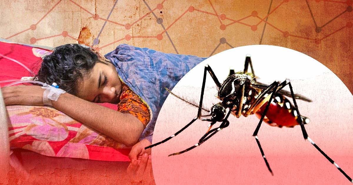 ২৪ ঘণ্টায় ডেঙ্গুতে ৬ জনের মৃত্যু