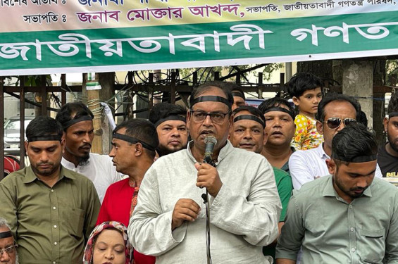 বিএনপির ভাইস চেয়ারম্যান দুদুকে তুলে নেওয়ার অভিযোগ