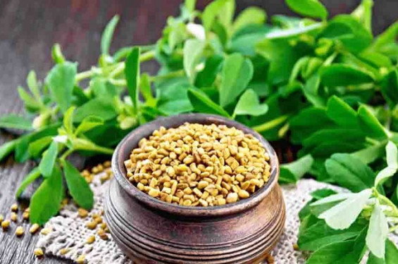মেথি শাক খাওয়ার উপকারিতা জেনে নিন