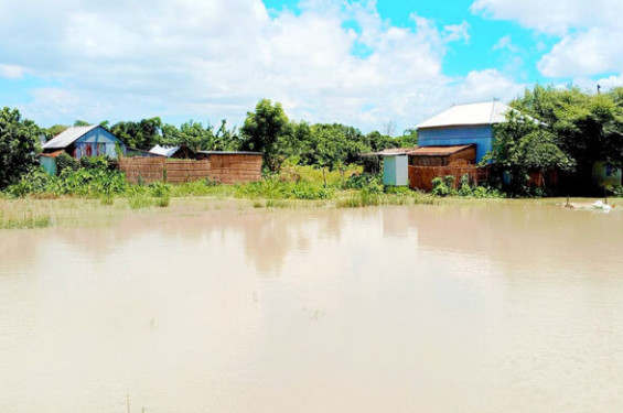 ফরিদপুরে বন্যা-ভাঙনে দুর্ভোগে চরবাসী
