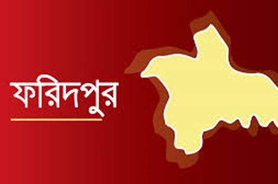ফরিদপুরে অভিযানের সময় স্থানীয়দের হামলা, ডিবির ৩ সদস্য আহত