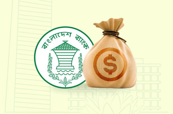 বিদেশি বিনিয়োগ সহজ করতে নতুন নির্দেশনা কেন্দ্রীয় ব্যাংকের