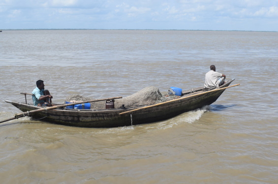 অভিযানের পাশাপাশি চলছে ইলিশ শিকার