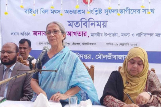 হাওরে ধানের উৎপাদনে কীটনাশক ব্যবহার নিয়ন্ত্রণ করতে হবে: মৎস্য উপদেষ্টা