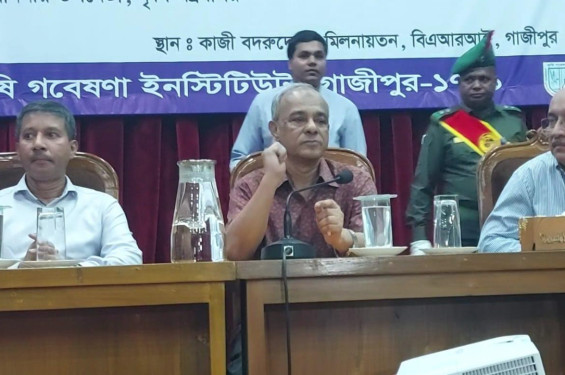 বাজার শিগগিরই সহনীয় পর্যায়ে চলে আসবে: স্বরাষ্ট্র উপদেষ্টা