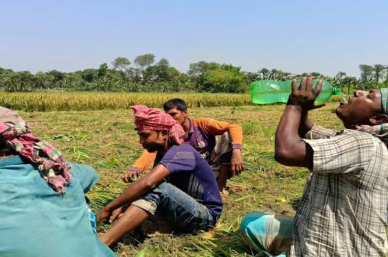 সারাদেশে হিট স্ট্রোকে ৫ জনের মৃত্যু