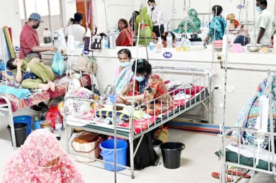 হামে উপসর্গে আরো ৬ প্রাণহানি, আক্রান্ত ১২৩১