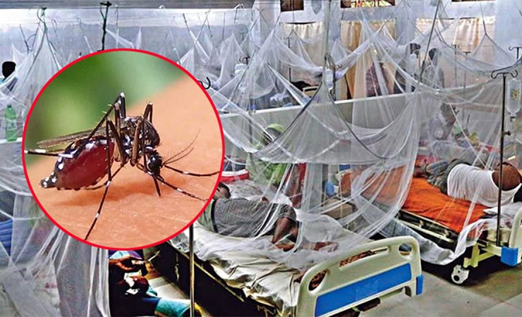 ডেঙ্গুতে মৃত্যু ৩০০ ছুঁই ছুঁই, হাসপাতালে ১৬৩১
