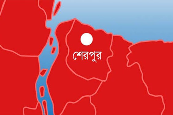 শেরপুরে পৃথক ঘটনায় শিশুসহ ৪ জনের মৃত্যু