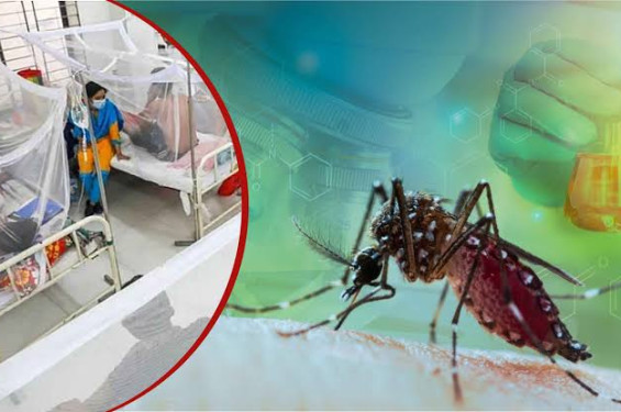 ২৪ ঘণ্টায় ডেঙ্গুতে ৬ মৃত্যু, হাসপাতালে ভর্তি ১৫৯৩