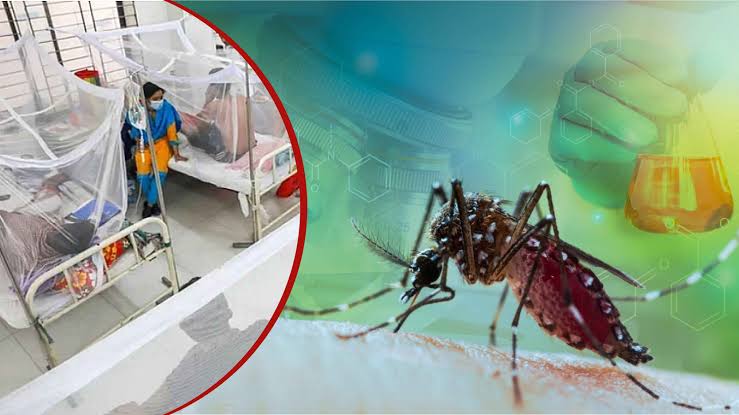 ২৪ ঘণ্টায় ডেঙ্গুতে ৬ মৃত্যু, হাসপাতালে ভর্তি ১৫৯৩