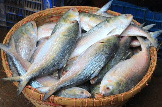 ভারত থেকে ইলিশ আমদানি বন্ধ করল বাংলাদেশ