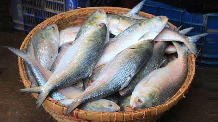 ভারত থেকে ইলিশ আমদানি বন্ধ করল বাংলাদেশ
