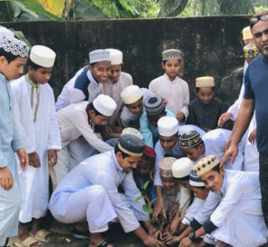 নাসিরনগরে মাদ্রাসায় বৃক্ষরোপণ কর্মসূচি পালন