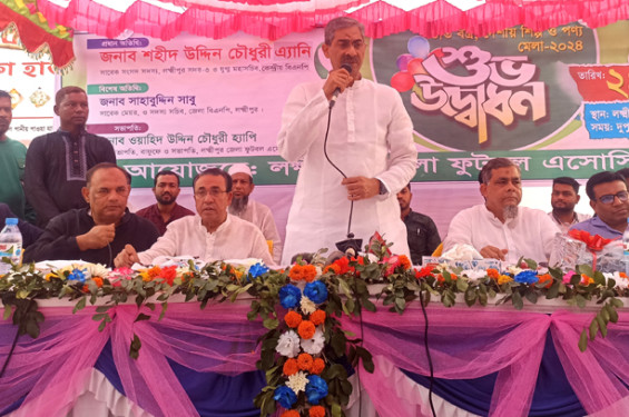 হাসিনা পালিয়ে গিয়ে এখন আবার ষড়যন্ত্রে লিপ্ত রয়েছে: এ্যানি