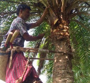 শীতে রস সংগ্রহে ব্যস্ত গাছিরা