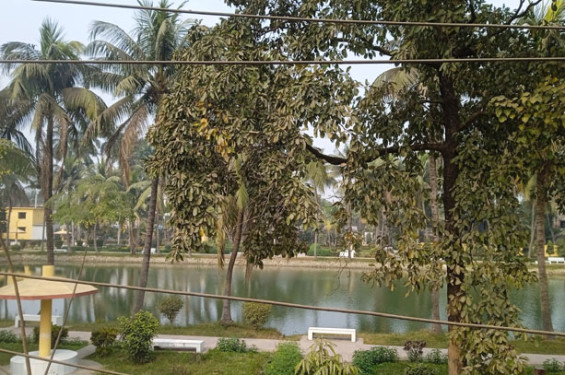 রোদ ঝলমলে নওগাঁয় তাপমাত্রার পারদ ৮ ডিগ্রির ঘরে