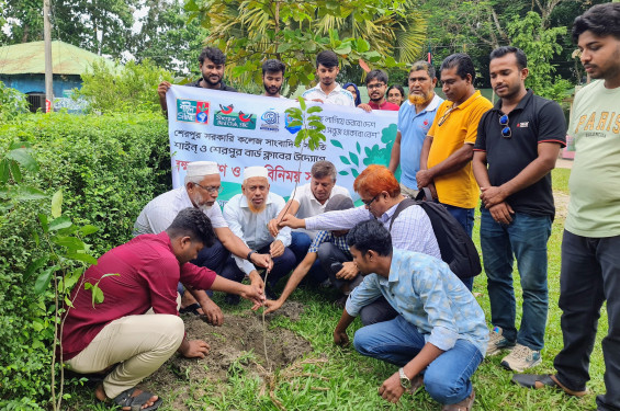 শেরপুর সরকারি কলেজে বৃক্ষরোপণ ও মতবিনিময় সভা অনুষ্ঠিত