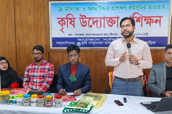 ‎নবীনগরে কৃষি উদ্যোক্তা  প্রশিক্ষণ