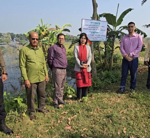 শার্শার সাবেক এমপির দখল থেকে মুক্ত হলো ৪১ একর জমি