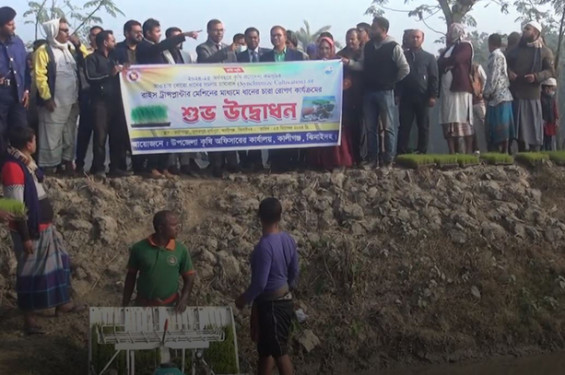 কালীগঞ্জে রাইস ট্রান্সপ্লান্টার মেশিনে বোরো ধানের চারা রোপনের উদ্বোধন