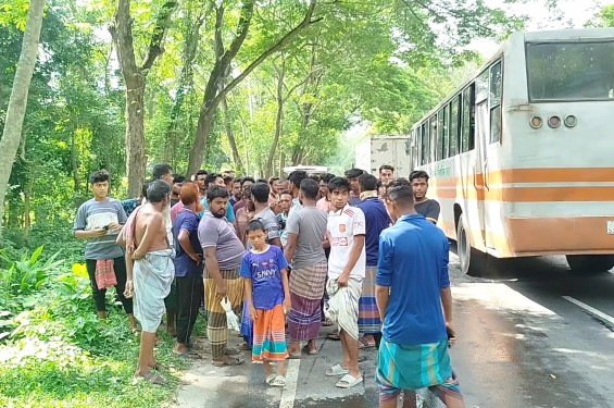শৈলকুপায় ট্রাক চাপায় নারীর মৃত্যু, পরিবারের দাবী পরিকল্পিত হত্যা