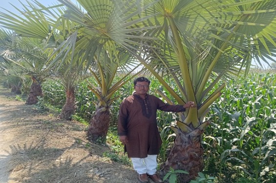 বজ্রপাত রোধে ঝিনাইদহের ‘গাছপাগল’ জহির রায়হানের ব্যতিক্রমী উদ্যোগ