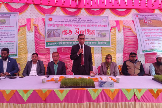 ঝিনাইদহে সমলয় পদ্ধতিতে বোরো ধান চাষের উদ্বোধন