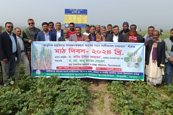 ঝিনাইদহে আধুনিক প্রযুক্তিতে সাথীফসল চাষে মাঠ দিবস