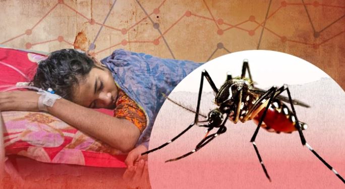 অক্টোবরের ১৩ দিনে ডেঙ্গুতে ৭১ মৃত্যু