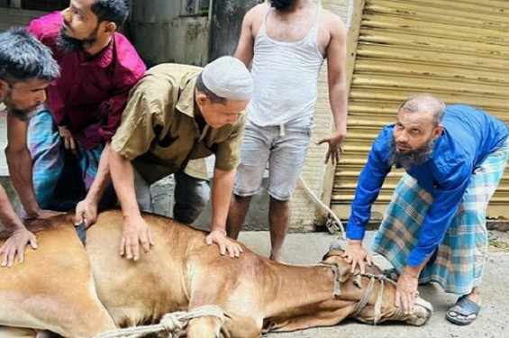 ঈদের দ্বিতীয় দিনেও চলছে পশু কুরবানি