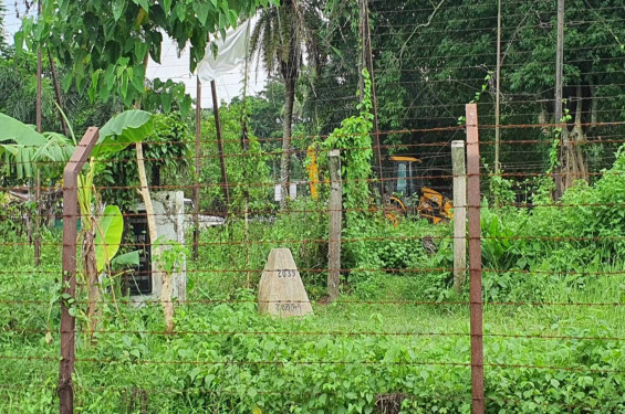 সীমান্তে বিএসএফের গুলিতে ২ বাংলাদেশি নিহত