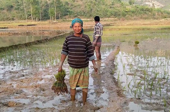 পুরুষের সমান কাজ করেও কম মজুরি পান শেরপুরের নারী শ্রমিকরা