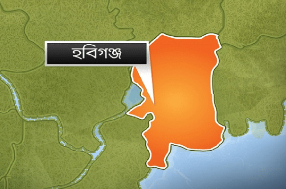 পাগলা কুকুরের কামড়ে নারী-শিশুসহ আহত ১৪