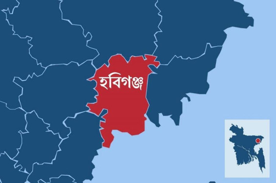হবিগঞ্জে ঘুমন্ত বাবা-মায়ের পাশ থেকে নবজাতক চুরি