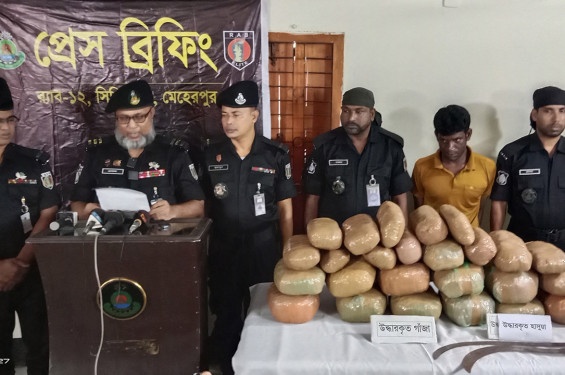 মেহেরপুর সীমান্তে ৩৬ কেজি গাঁজাসহ মাদক কারবারি আটক