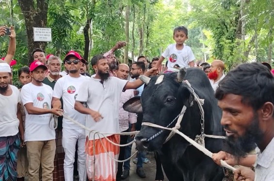খালেদা জিয়াকে উপহার দেয়ার জন্য ঢাকায় যাচ্ছে মির্জাগঞ্জের ৩৫ মণের ‘কালো মানিক’