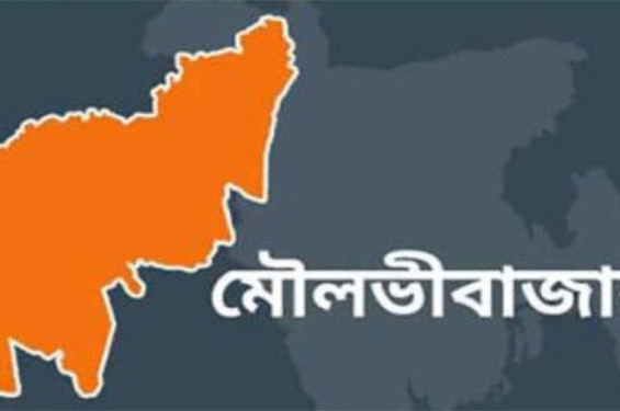 শ্বশুরবাড়িতে বেড়াতে আসা জামাইকে হত্যা, আটক ২