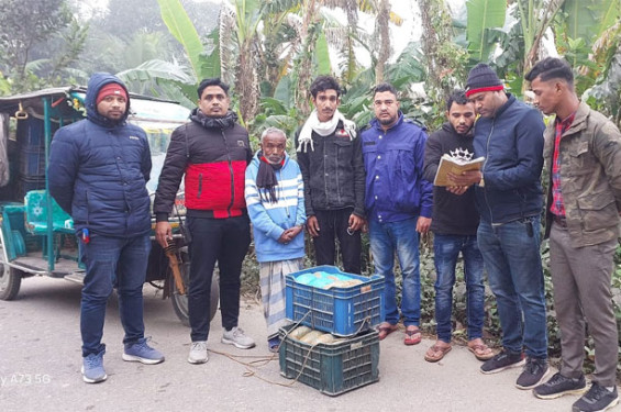 মুরাদনগরে ২০ কেজি গাঁজাসহ আটক ৩
