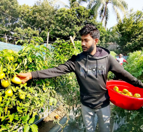 নড়াইলে কৃষি কাজে ৩ ভাইয়ের সাফল্য, প্রতি মাসে আয় লাখ টাকা