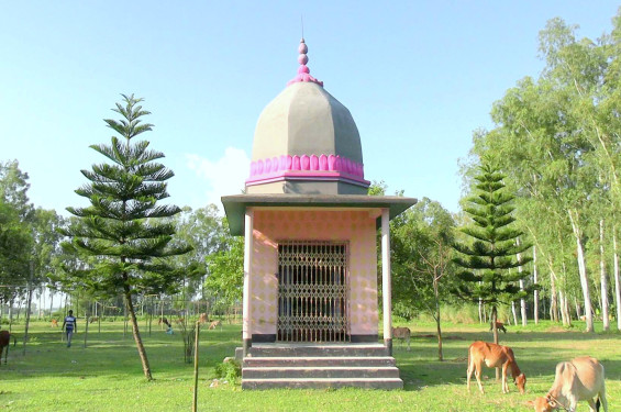 ব্যস্ত কুমোরটলির প্রতিমাশিল্পীরা, চলছে পূজার আয়োজন