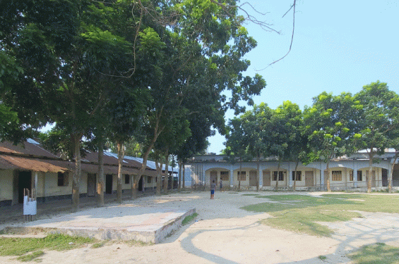 ঠাকুরগাঁওয়ে ৫ কলেজের পাসের হার শূন্য